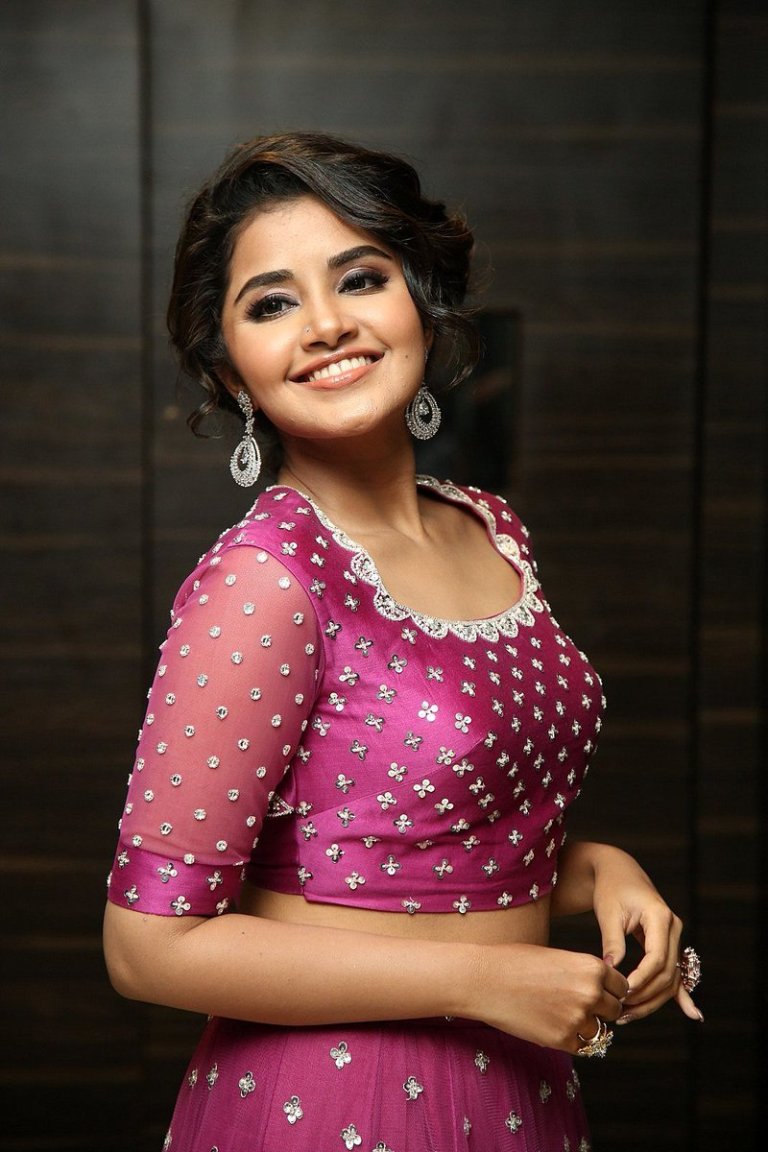 mallu actress Anupama Parameswaran telugu movie rakshasudu pre release event sexy hot side boobs photos